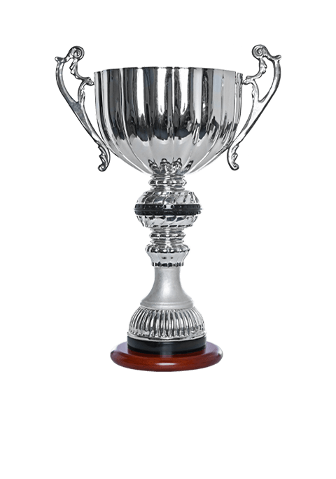 https://straymondscyo.com/wp-content/uploads/2022/11/trophy_01.png