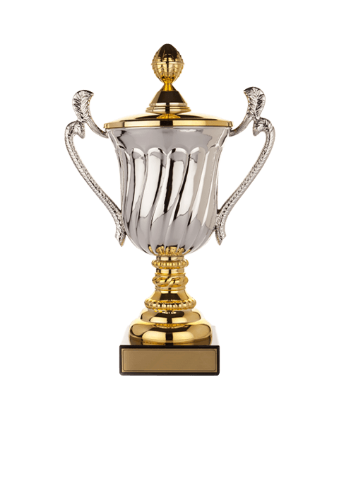 https://straymondscyo.com/wp-content/uploads/2022/11/trophy_02.png