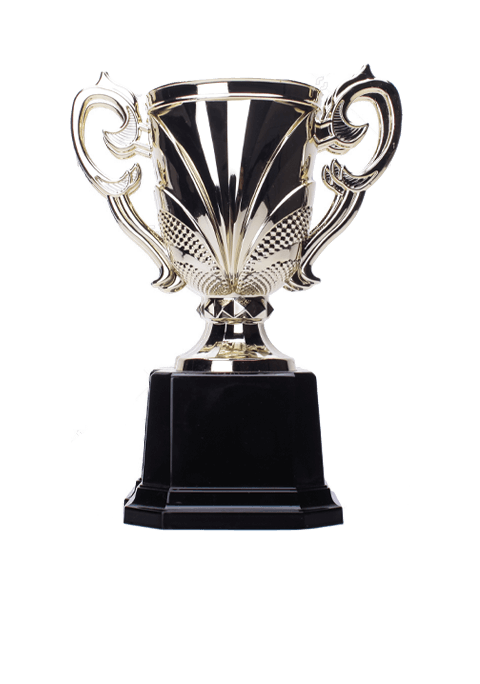 https://straymondscyo.com/wp-content/uploads/2022/11/trophy_04.png