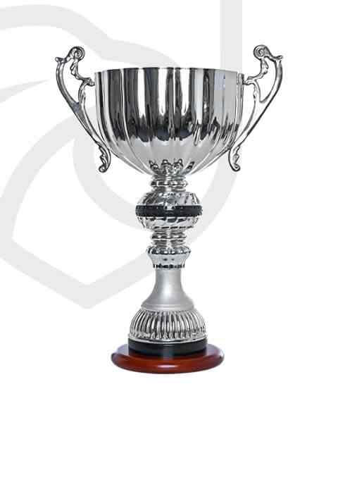https://straymondscyo.com/wp-content/uploads/2022/11/trophy_overlay_01.jpg