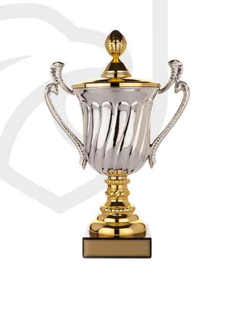 https://straymondscyo.com/wp-content/uploads/2022/11/trophy_overlay_02.jpg
