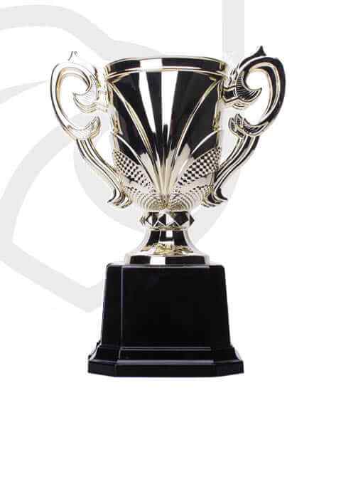 https://straymondscyo.com/wp-content/uploads/2022/11/trophy_overlay_04.jpg